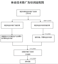 創新林業技術推廣培訓，助力林業現代化發展
