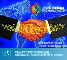 國(guó)際內(nèi)控協(xié)會(huì)中國(guó)總部 企業(yè)內(nèi)部控制咨詢、培訓(xùn)與產(chǎn)品服務(wù)一體化解方案