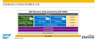 破局新“食”代 農牧食品行業數字化轉型與管理咨詢賦能之道
